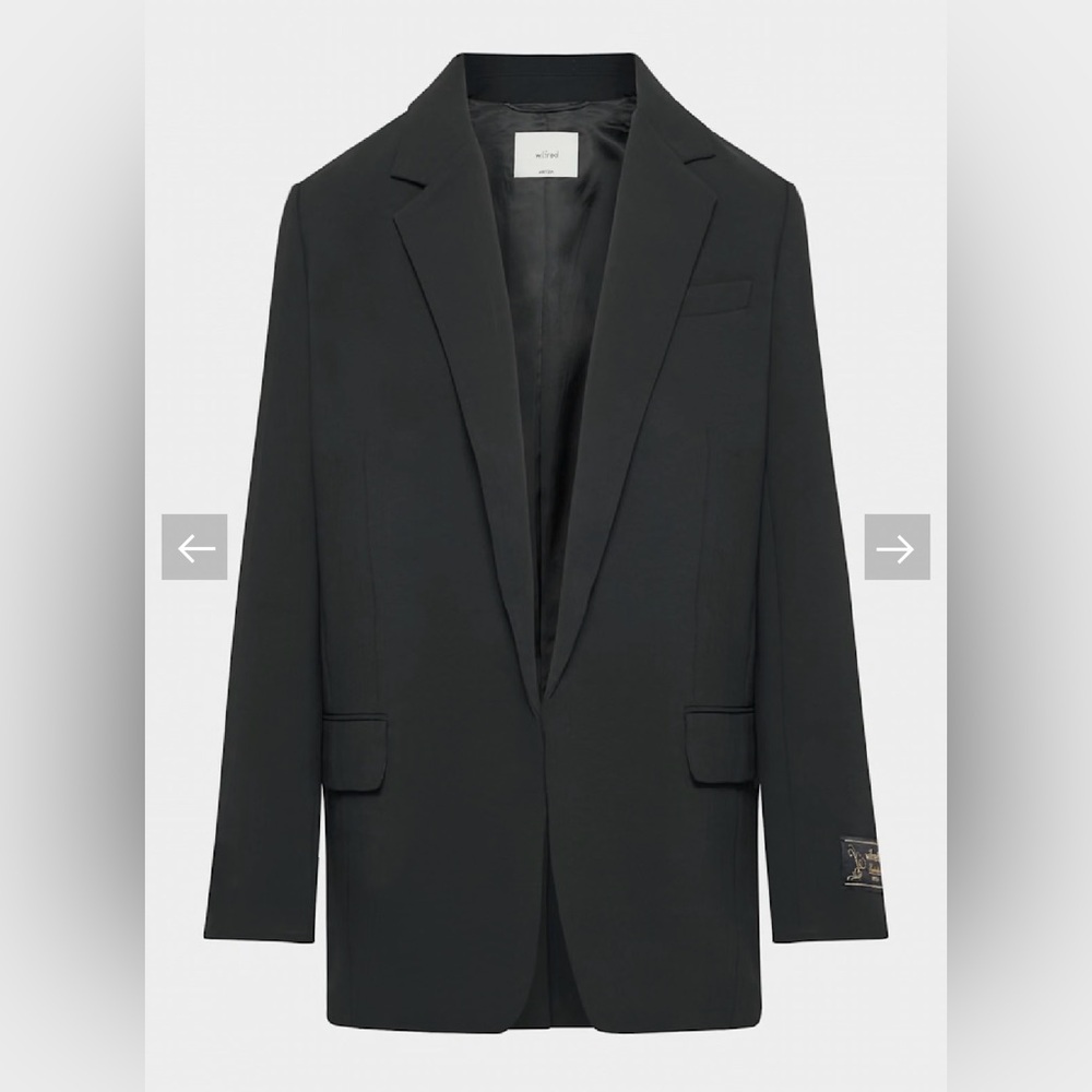 Aritzia Wilfred Therese blazer